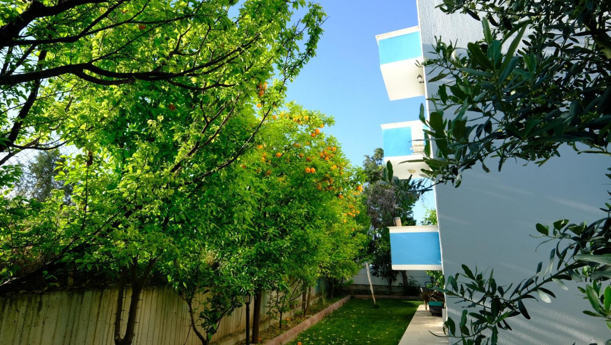 The Cotton House Bed & Breakfast Pamukkale Exterior photo